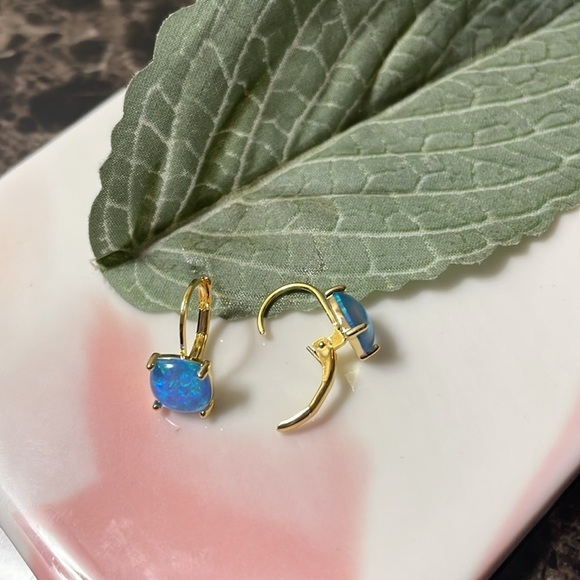 Blue Minimalist Earrings - Picture 9 of 9